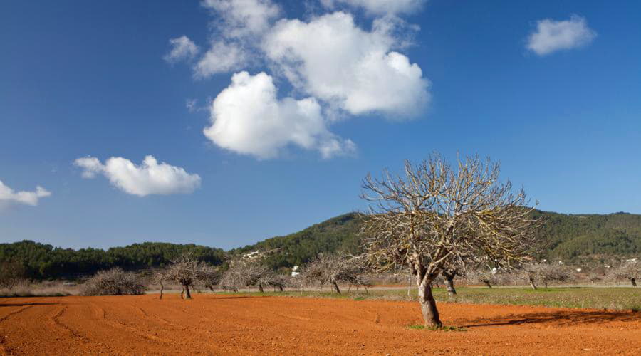 Die beliebtesten Fahrzeugoptionen in Sant Miquel de Balansat